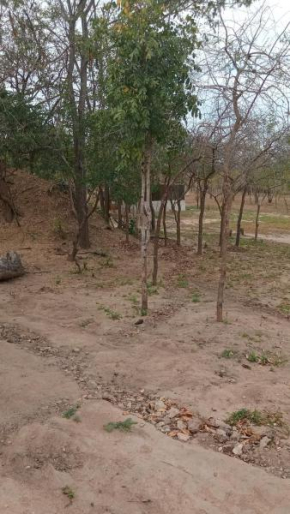 Amarula Tree Hotel